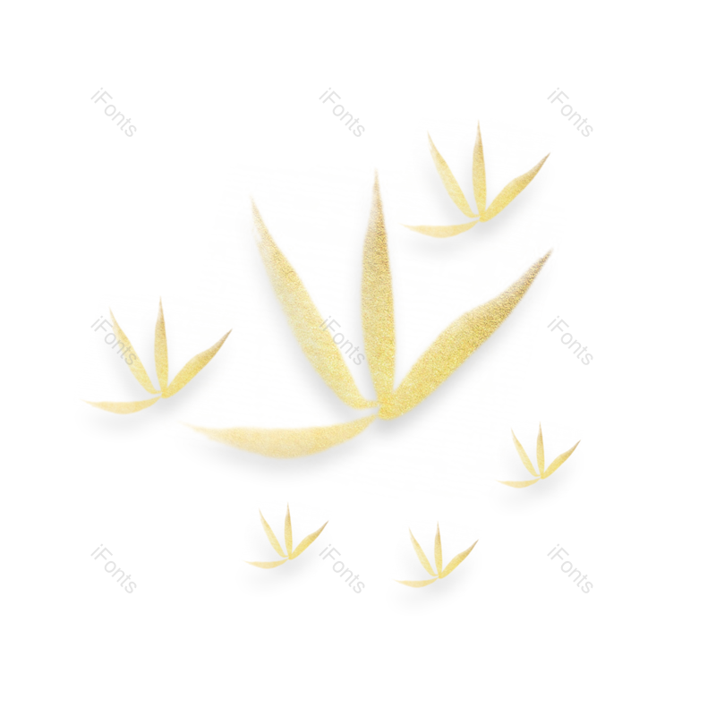 边框素材图片,金色元素元素,PNG,免抠素材